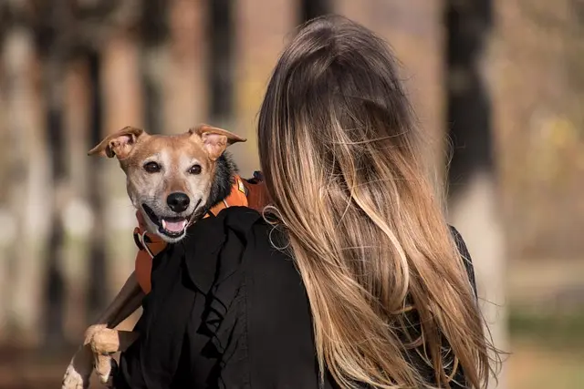 Jak przygotować się na wakacje z pupilem: praktyczny przewodnik