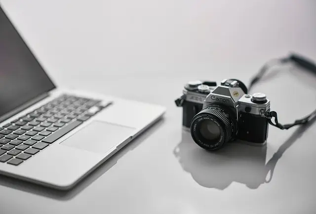 Jakie są najnowsze trendy w akcesoriach dla zwierząt?