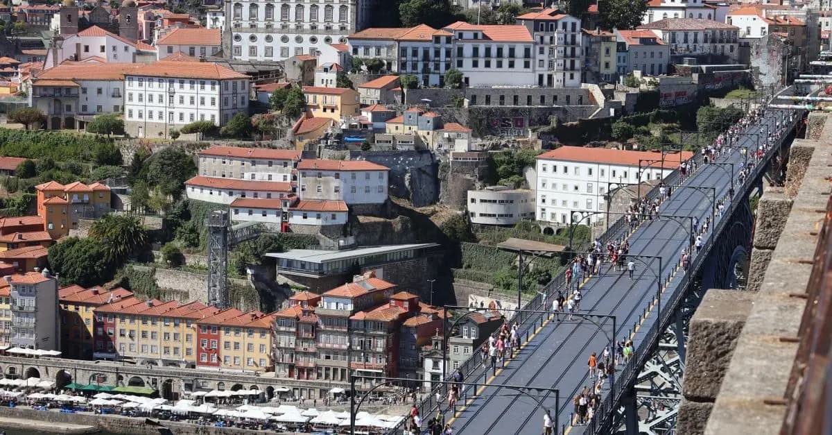 Jak przygotować dom na przyjęcie nowego psa: 7 kluczowych kroków